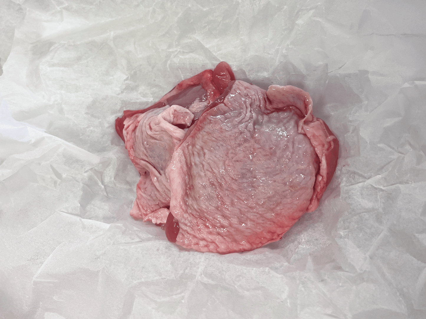 Free Range Chicken Thigh Cutlets